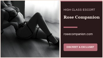 Rose Companion